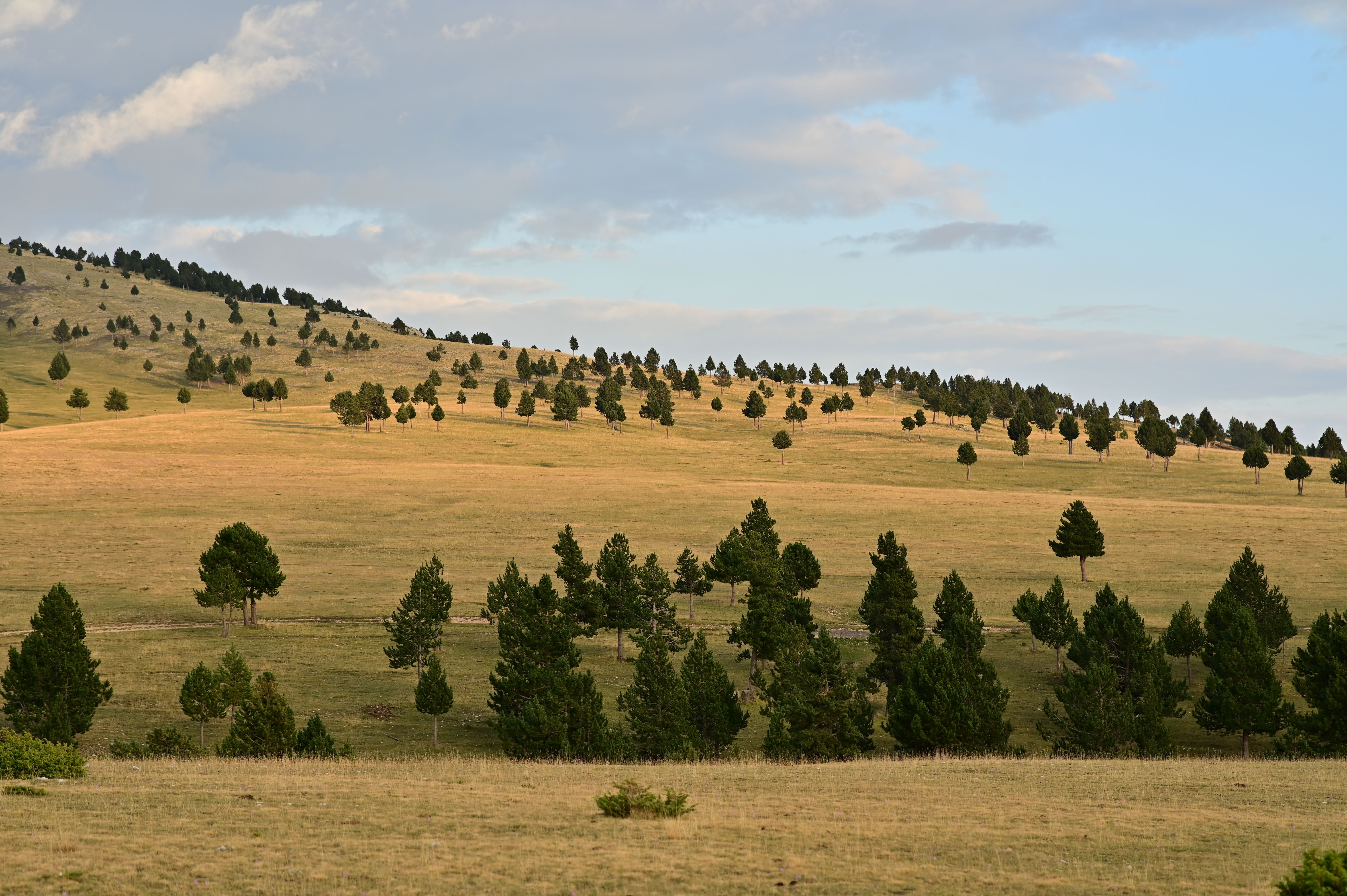 East Mountains roofing near Cedar Crest, New Mexico.