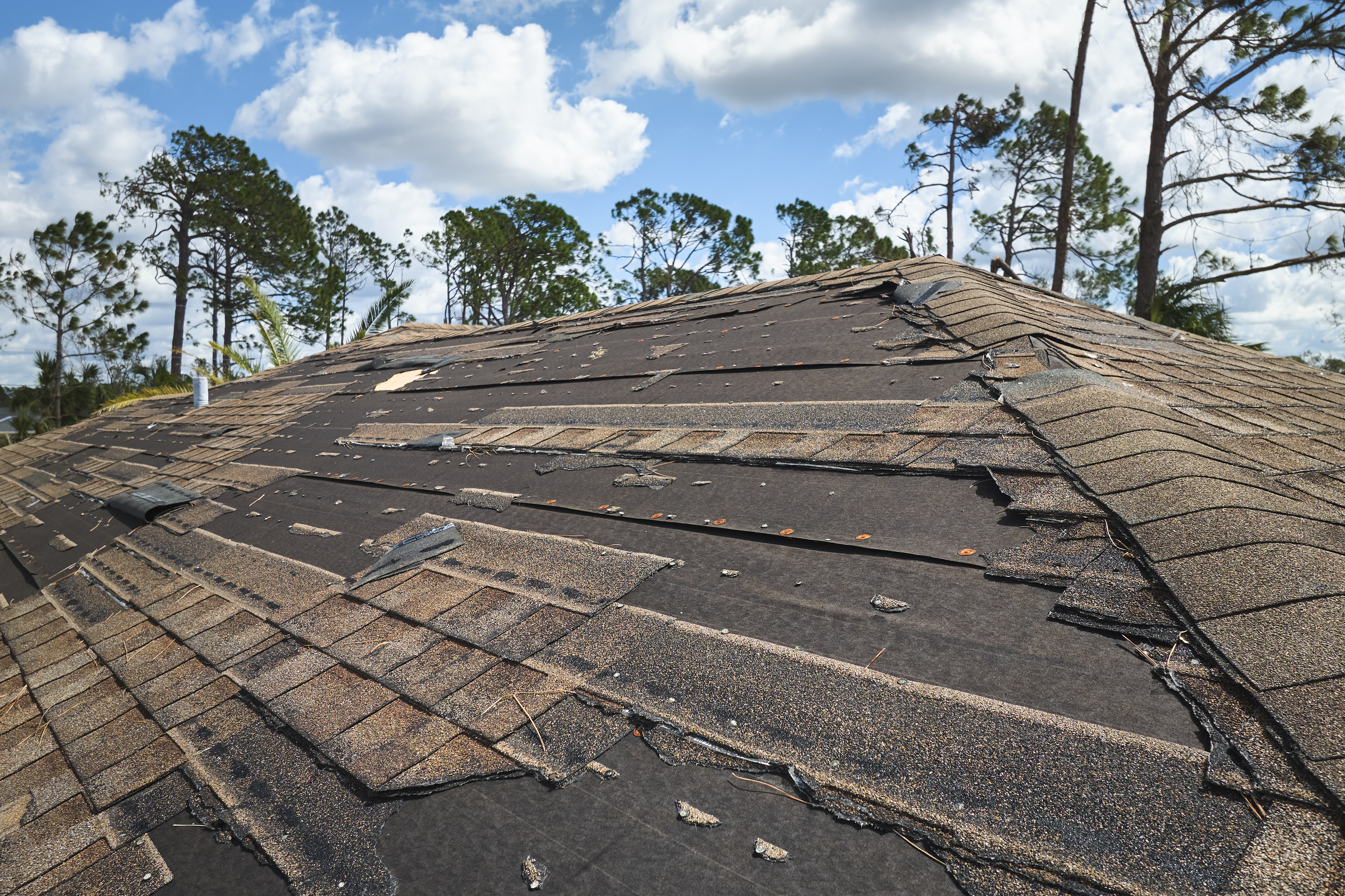 Placeholder for shingle roof repair image