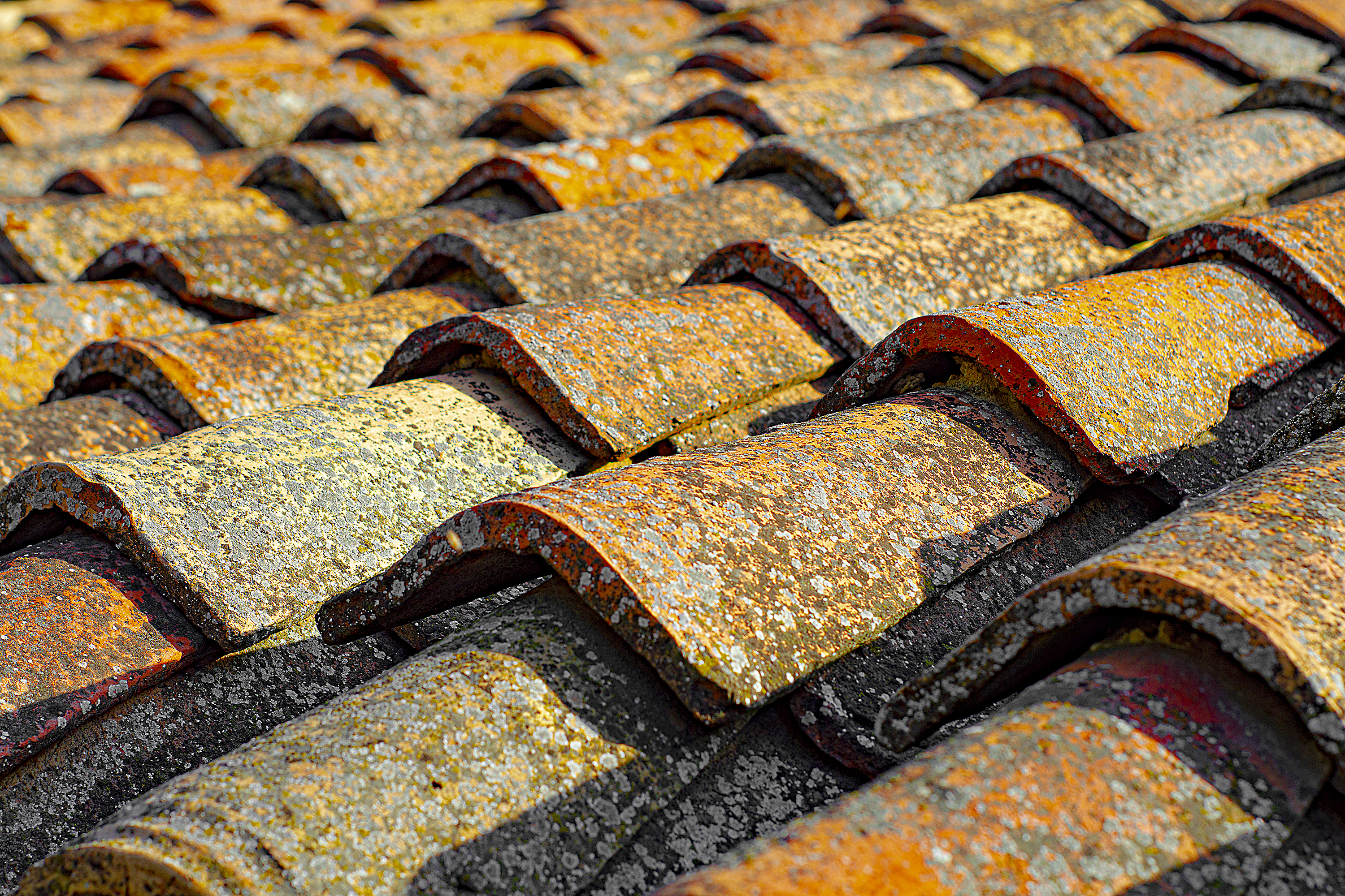 Placeholder for tile roof replacement image